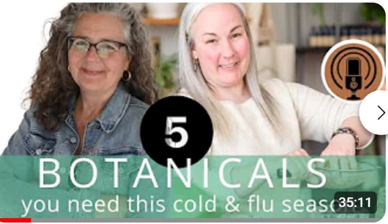 5 Botanicals You Need This Flu Season