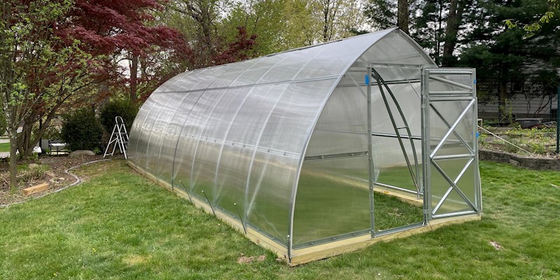 2023 Mayernik Kitchen Medicinal Plant Sale