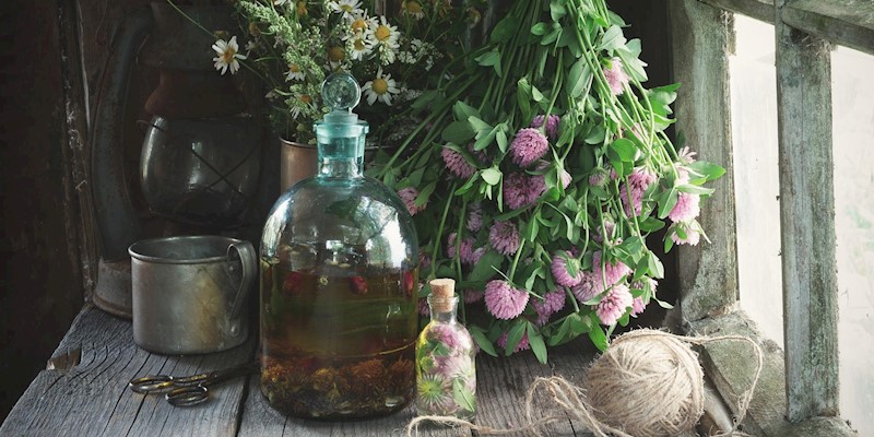 Building Your Home Apothecary: A Herbalist’s Guide to Getting Started