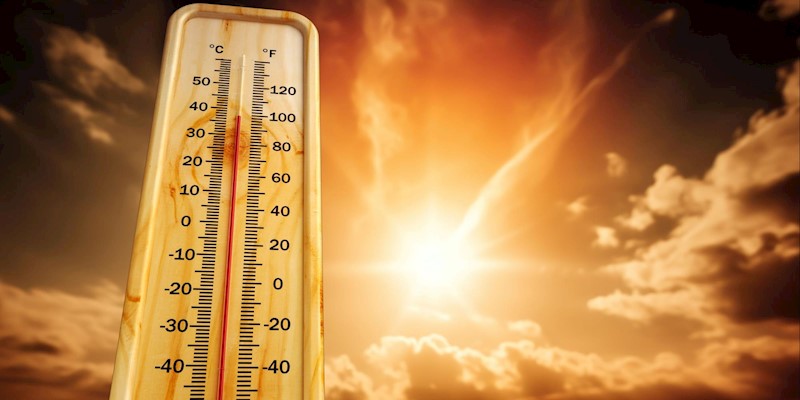 Cooling Herbs for the Hot Days of Summer