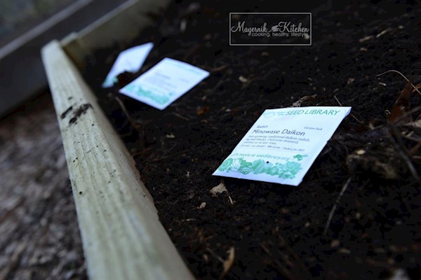 First Planting in Mayernik Garden 2015 - Northern New Jersey