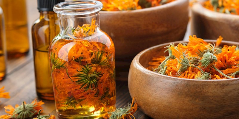 Foraging & Growing Spring Flowers for Emotional Well-Being