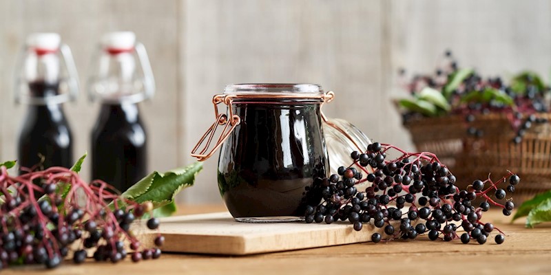 Herbal Prep for Back-to-School: Building Immunity in Late Summer