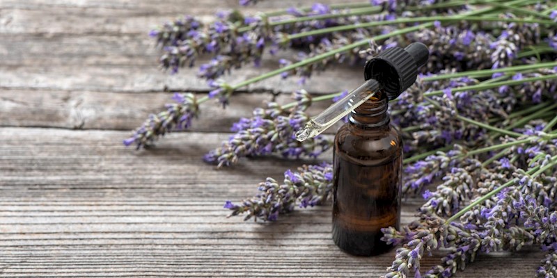 Mayernik Kitchen Top 3 Lavender Products