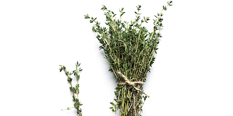 Must have Herbs for Cold & Flu