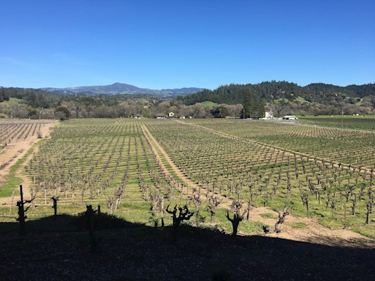 Northern California Wine Country – Travel with The Mayernik’s