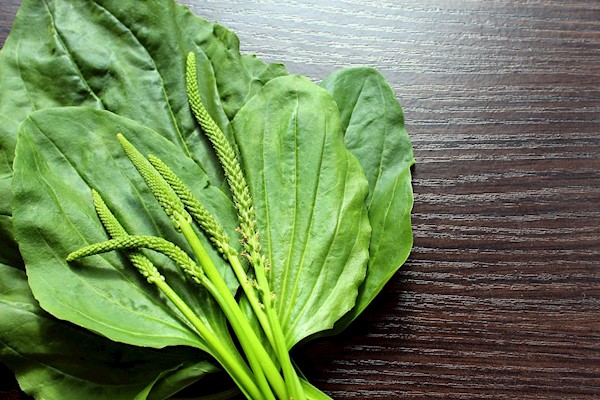 Products out of Stock – WHY?