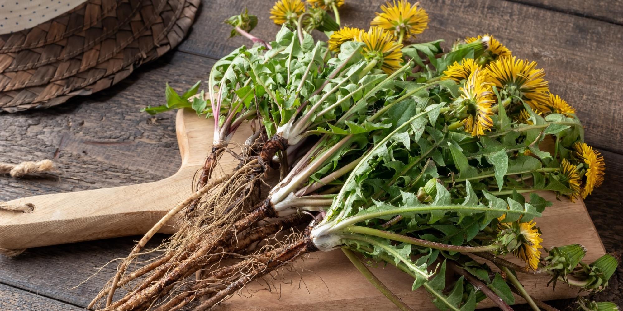 What Herbs can help with Digestion?