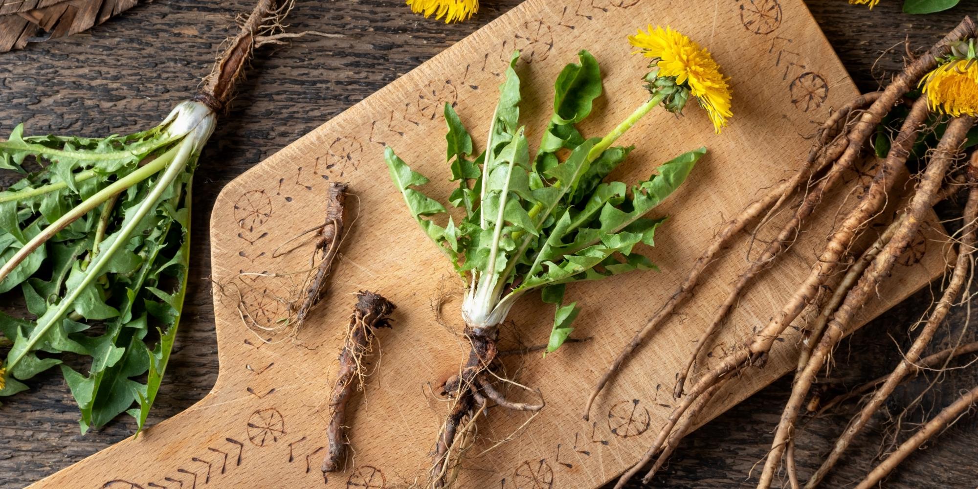 Kickstart your Digestive System this Spring with these THREE herbs