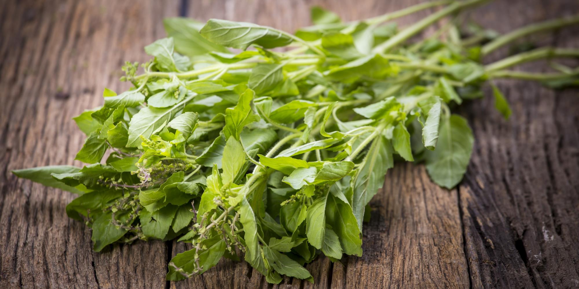 Basil vs Holy Basil - What's the difference?