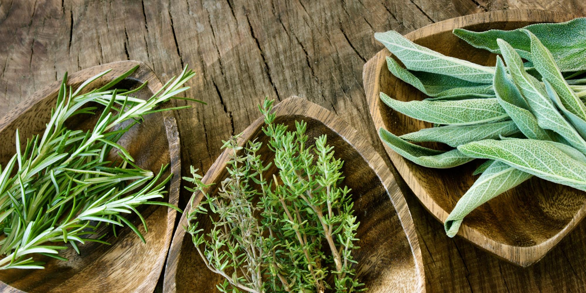 Meet the Herbs in our Respiratory Elixir
