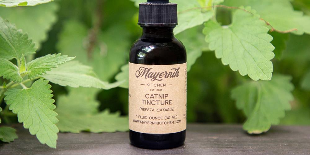 Catnip - Products We Love!