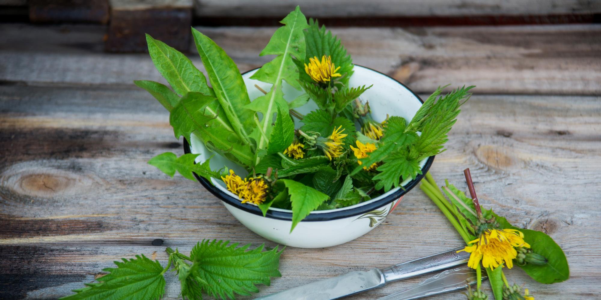 Springtime Allergy Relief: The Best Herbs to Ease Seasonal Symptoms