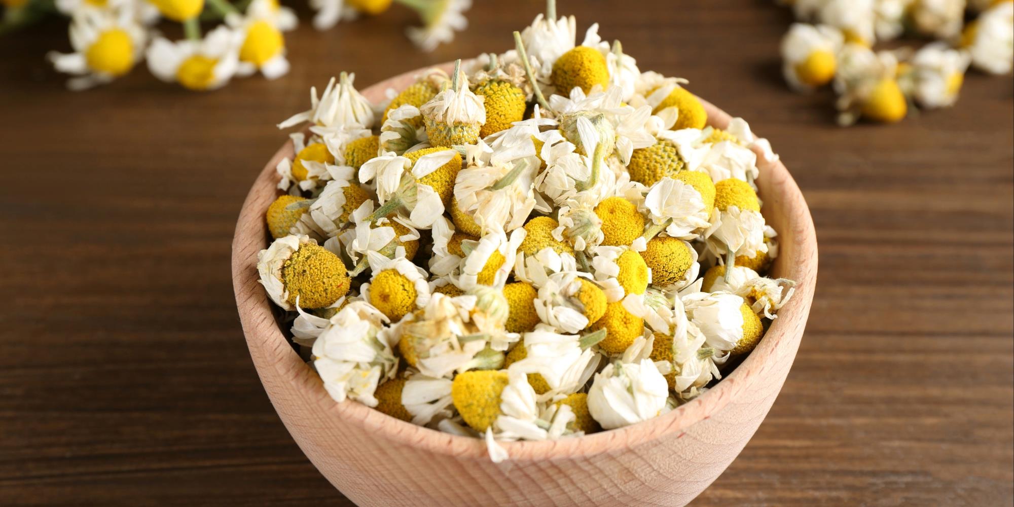 Chamomile: The Gentle Healer