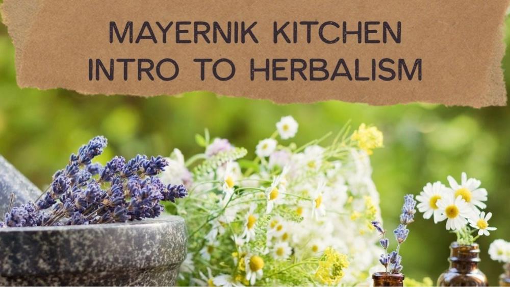 Mayernik Kitchen - Intro to Herbalism OnDemand Course