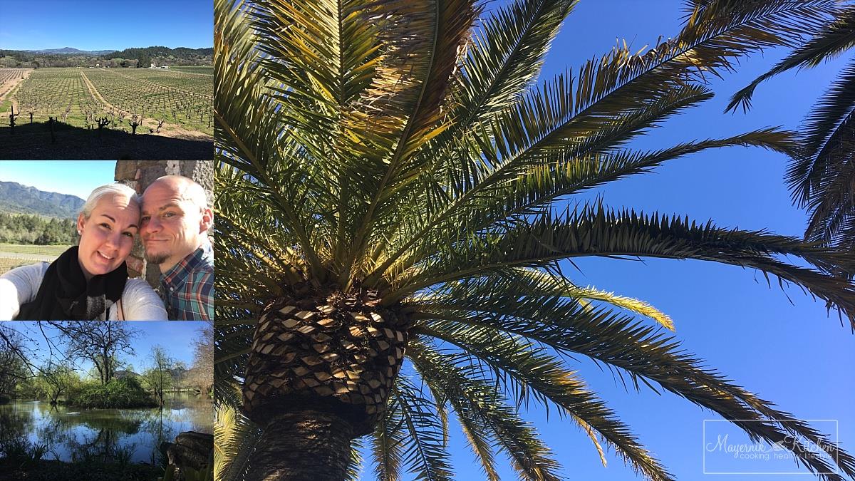 Palm Trees in Napa Valley | Mayernik Kitchen