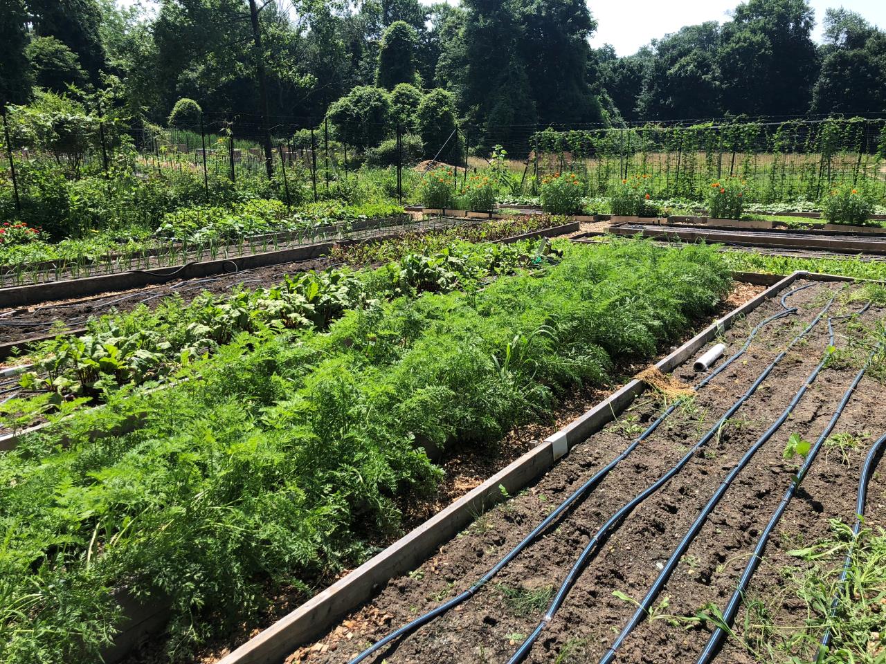 Organic Farm in Cedar Grove New Jersey 