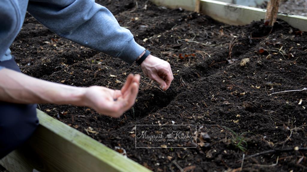 Planting Seeds in Raised Beds - Mayernik Garden 