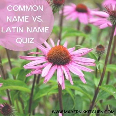 Common Name vs. Latin Name
